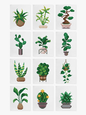 Mini Meesterwerken - Huisplanten 2.0 (Set van 12)