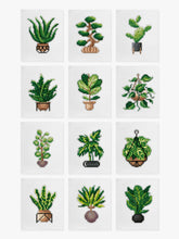 Mini Meesterwerken - Huisplanten (Set van 12)