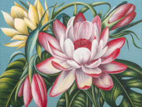 Diamond Painting - Paradijselijke bloei