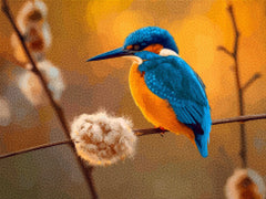 Diamond Painting - IJsvogel in Gouden Achtergrond