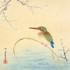 Diamond Painting - IJsvogel aan de oever