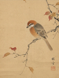 Diamond Painting - Vogel op een stille tak