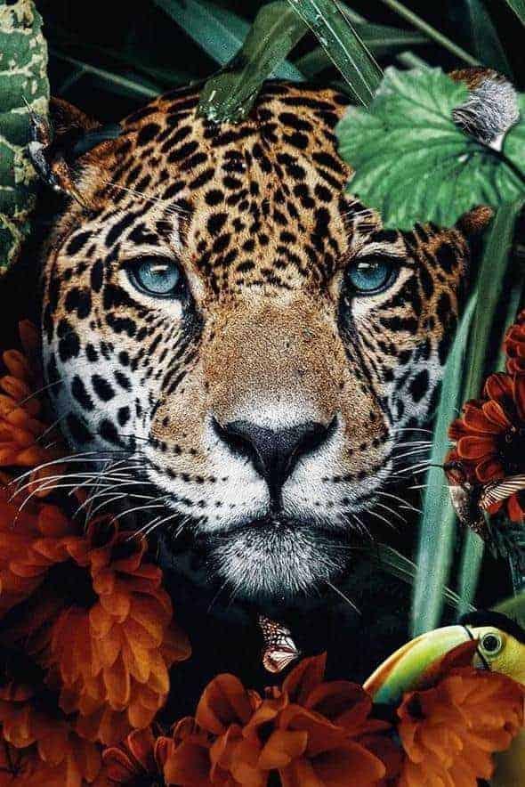 Diamond Painting Tijger in de jungle - SEOS Shop ®