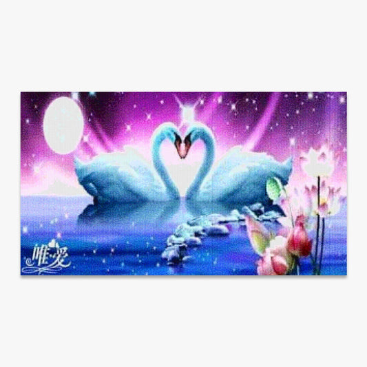 Twee zwanen | Groot Formaat - Seos SHOP