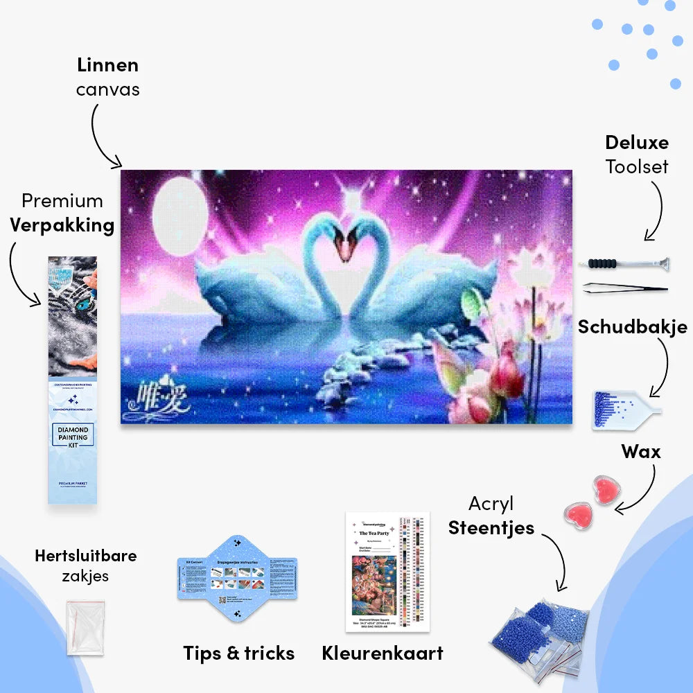 Twee zwanen | Groot Formaat - Seos SHOP