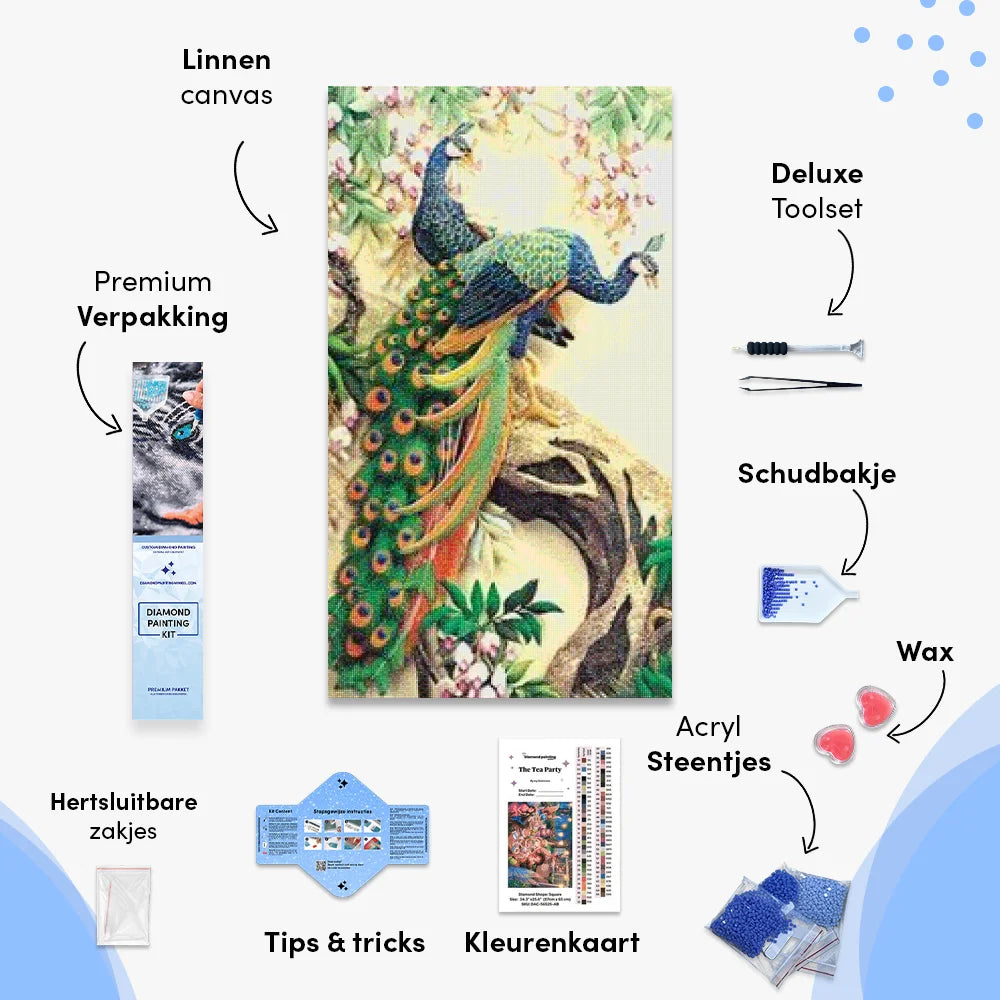 Twee pauwen | Groot Formaat - SEOS Shop ®