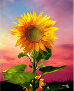 Diamond painting - Zonnebloem in veld - SEOS Shop ®