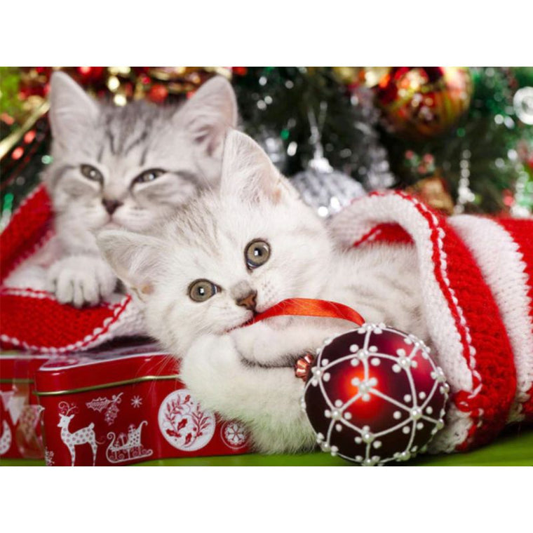 diamond painting - kittens – afbeelding 1