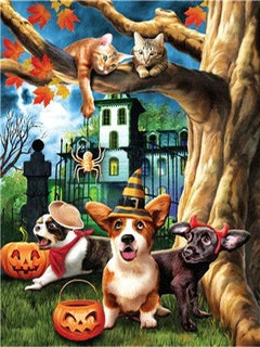 Diamond Painting Katten En Honden - SEOS Shop ®