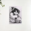 Diamond Painting Puppy met bal – SEOS Shop®