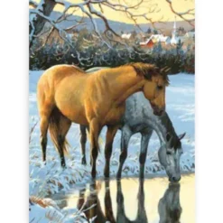 Diamond Painting Paarden drinken water - SEOS Shop ®