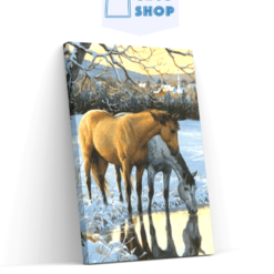 Diamond Painting Paarden drinken water - SEOS Shop ®