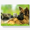 Diamond Painting Duitse herder met kittens – SEOS Shop®