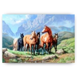 Diamond Painting Paarden in een veld