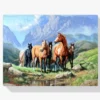 Diamond Painting Paarden in een veld – SEOS Shop ®
