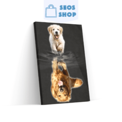 Labrador van pup naar volwassen – SEOS Shop®