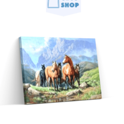 Diamond Painting Paarden in een veld - SEOS Shop ®