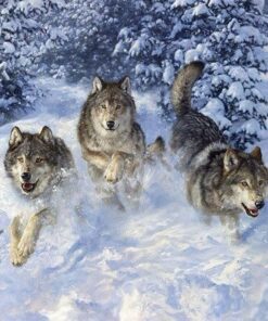 drie wolven in de sneeuw diamond painting