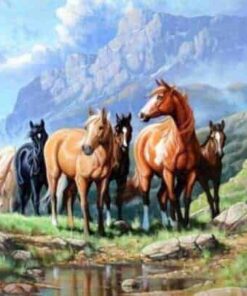 paarden in een veld diamond painting