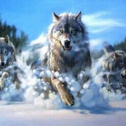 wolven in de sneeuw rennen diamond painting