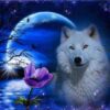 Witte wolf maan