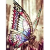 Diamond Painting Prachtige vlinder in de zon - SEOS Shop ®