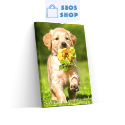 Diamond painting Labrador puppy met een bloem – Volledig – SEOS Shop®