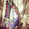 Prachtige vlinder in de zon - Veel verschillende kleuren - 30x25 cm - SEOS Shop