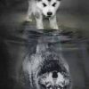 wolven welp naar volwassen wolf