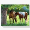 Diamond Painting Paarden onder een boom – SEOS Shop ®