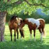 Diamond Painting Paarden onder een boom