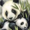 Diamond Painting - Panda's - 30x40 cm - Volledige bedekking - FULL - SEOS Shop ®