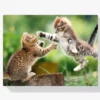 Diamond Painting Spelende kittens – SEOS Shop ®