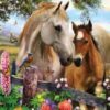 Diamond painting Prachtige Paarden 30x25 cm - Volledig - SEOS Shop ®