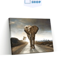 Diamond Painting Safari Olifant - SEOS Shop ®