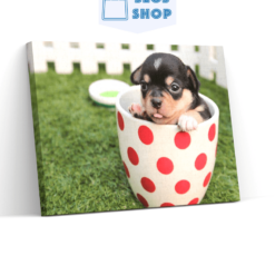 Diamond Painting Puppy in een beker 45x30 cm - SEOS Shop ®