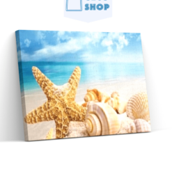 Diamond Painting Schelpen strand - SEOS Shop ®