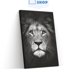 Diamond Painting Pakket Zwart wit leeuw - SEOS Shop ®