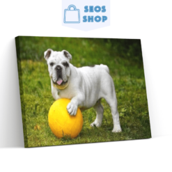 Diamond Painting Witte bulldog met bal - SEOS Shop ®