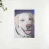 Diamond Painting Hond met knipoog – SEOS Shop ®