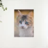 Diamond Painting Kitten met blauwe ogen – SEOS Shop ®