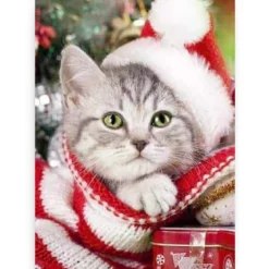 Diamond Painting Kitten met kerstmuts - SEOS Shop ®