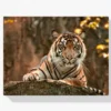 Diamond Painting Liggende tijger – SEOS Shop ®