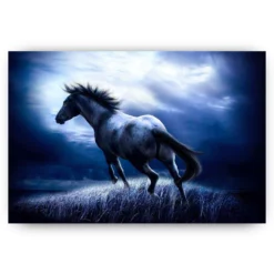 Diamond Painting Paard in het donker
