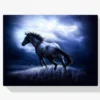 Diamond Painting Paard in het donker – SEOS Shop ®