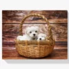 Diamond Painting Puppy’s in een mandje – SEOS Shop ®