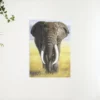 Diamond Painting Safari Olifant met slagtanden – SEOS Shop ®