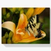 Diamond Painting Vlinder in een bloem – SEOS Shop ®