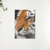 Diamond Painting Volwassen tijger – SEOS Shop ®