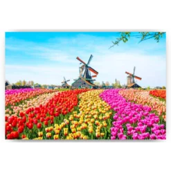 Diamond Painting Windmolens met Nederlandse tulpen